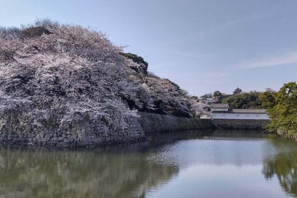 Villa Hikone Castle Buitenkant foto